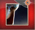 Benutzerbild von OrodrethS�regon